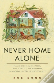 Capa do artigo Never Home Alone