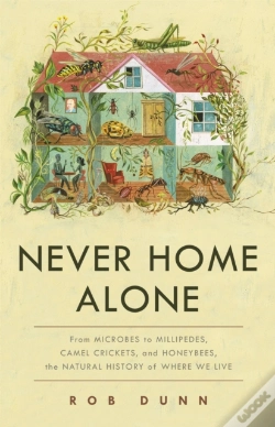 Capa do artigo Never Home Alone