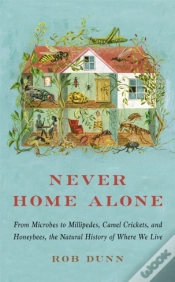 Capa do artigo Never Home Alone