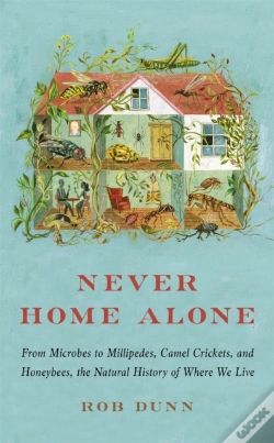 Capa do artigo Never Home Alone