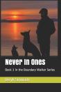 Never In Ones - Preview