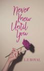 Never Knew Until You - Preview