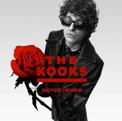 Capa do artigo Never/Know - Vinil
