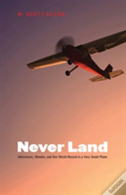 Capa do artigo Never Land