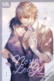 Capa do artigo Never Let Go
