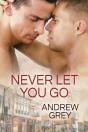 Never Let You Go - Preview
