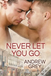 Capa do artigo Never Let You Go