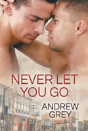 Never Let You Go - Preview