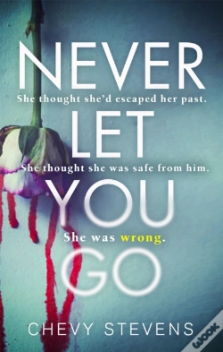 Capa do artigo Never Let You Go