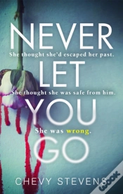 Capa do artigo Never Let You Go