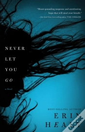 Capa do artigo Never Let You Go