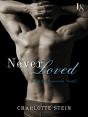 Never Loved - Preview