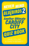 Never Mind The Bluebirds 2