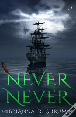 Capa do artigo Never Never