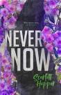 Never Now - Preview