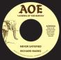 Never Satisfied - Vinil - Preview