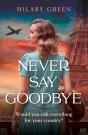 Never Say Goodbye - Preview