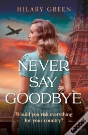 Capa do artigo Never Say Goodbye