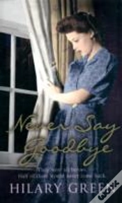 Capa do artigo Never Say Goodbye