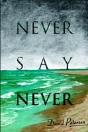 Never Say Never - Preview