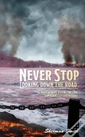 Capa do artigo Never Stop Looking Down The Road
