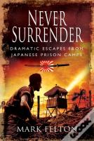 Never Surrender