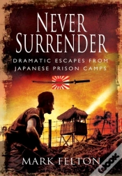 Capa do artigo Never Surrender