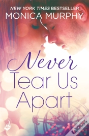 Capa do artigo Never Tear Us Apart: Never Series 1