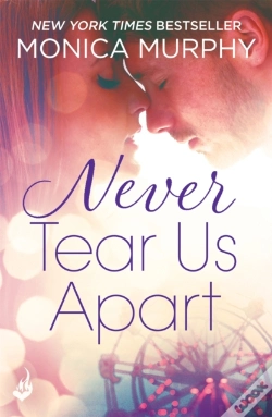 Capa do artigo Never Tear Us Apart: Never Series 1