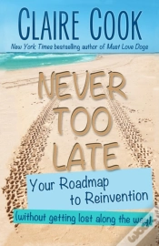 Capa do artigo Never Too Late