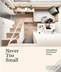Capa do artigo Never Too Small