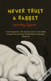 Capa do artigo Never Trust A Rabbit