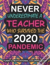 Never Underestimate A Teacher Who Survived