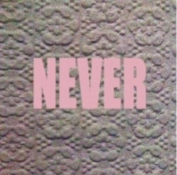 Capa do artigo Never - Vinil