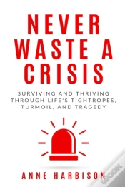 Capa do artigo Never Waste A Crisis