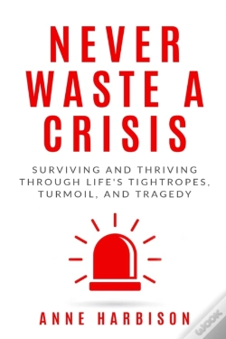 Capa do artigo Never Waste A Crisis