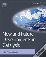 New And Future Developments In Catalysis