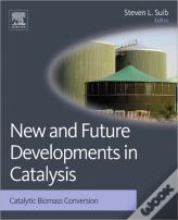 New And Future Developments In Catalysis