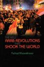 New Arab Revolutions That Shook The World - Preview