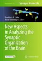 New Aspects In Analyzing The Synaptic Organization Of The Brain - Preview