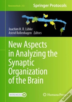 Capa do artigo New Aspects In Analyzing The Synaptic Organization Of The Brain