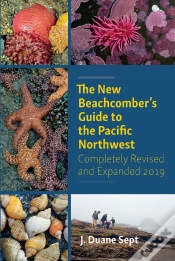 Capa do artigo New Beachcomber