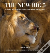 Capa do artigo New Big 5