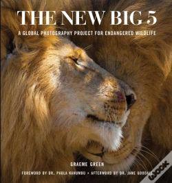 Capa do artigo New Big 5
