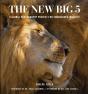 New Big 5 - Preview