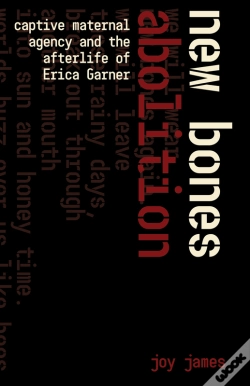 Capa do artigo New Bones Abolition