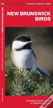 Capa do artigo New Brunswick Birds