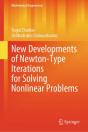New Developments Of Newton-Type Iterations For Solving Nonlinear Problems - Preview