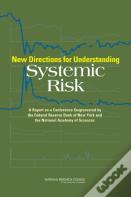 New Directions For Understanding Systemic Risk