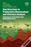 New Directions In Productivity Measurement And Efficiency Analysis